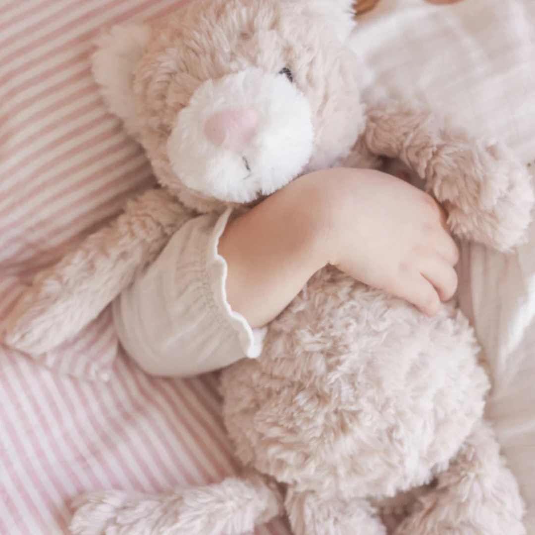 Pickles The Weighted Sensory Cat