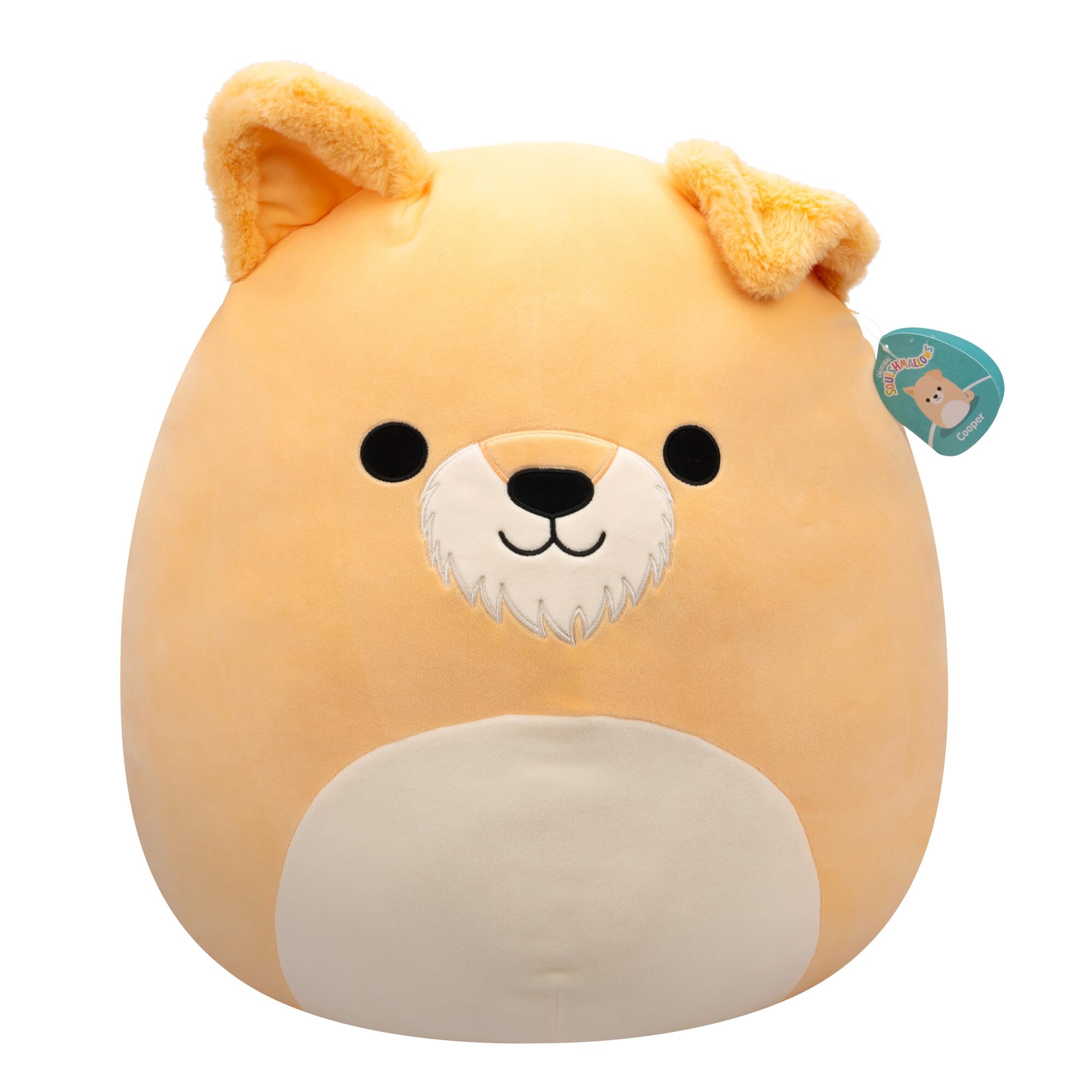 Squishmallows 20cm - Cooper The Schnauzer Dog