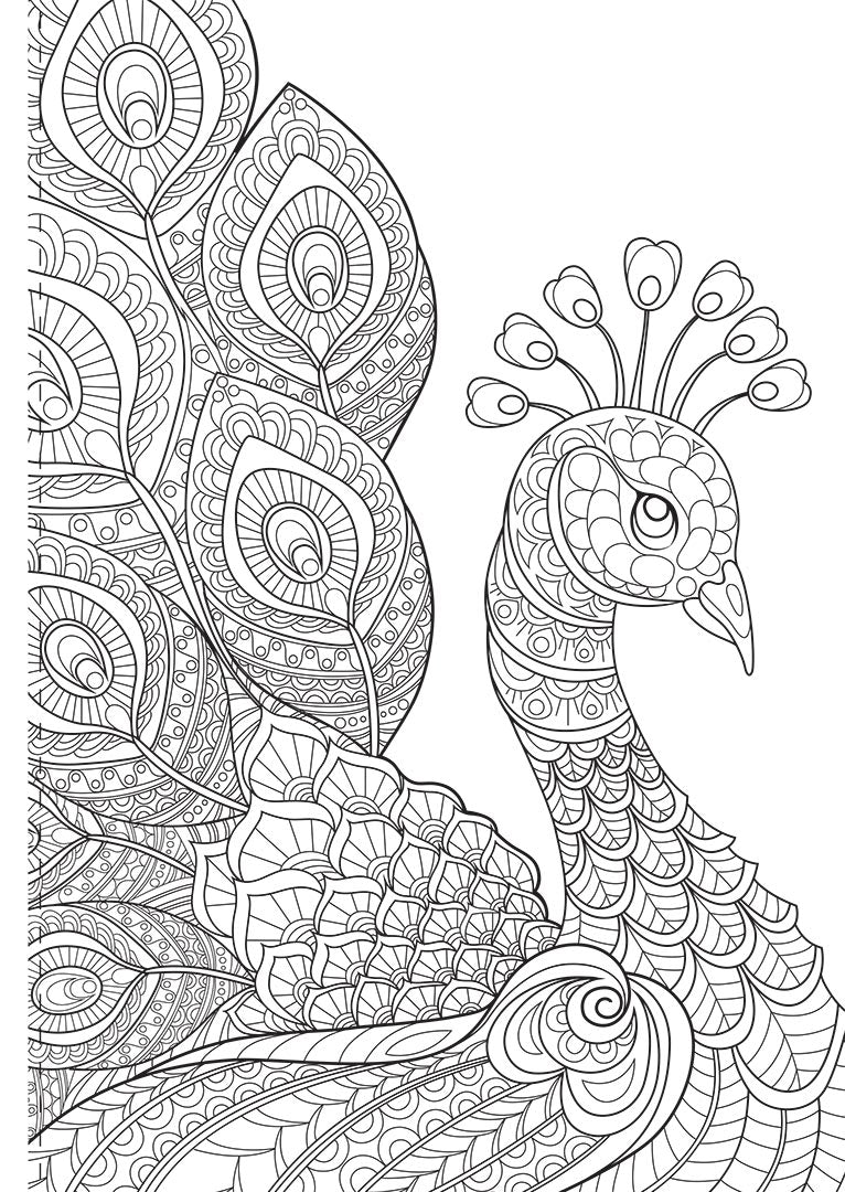 Adult Colouring Book – Amazing Animals and More