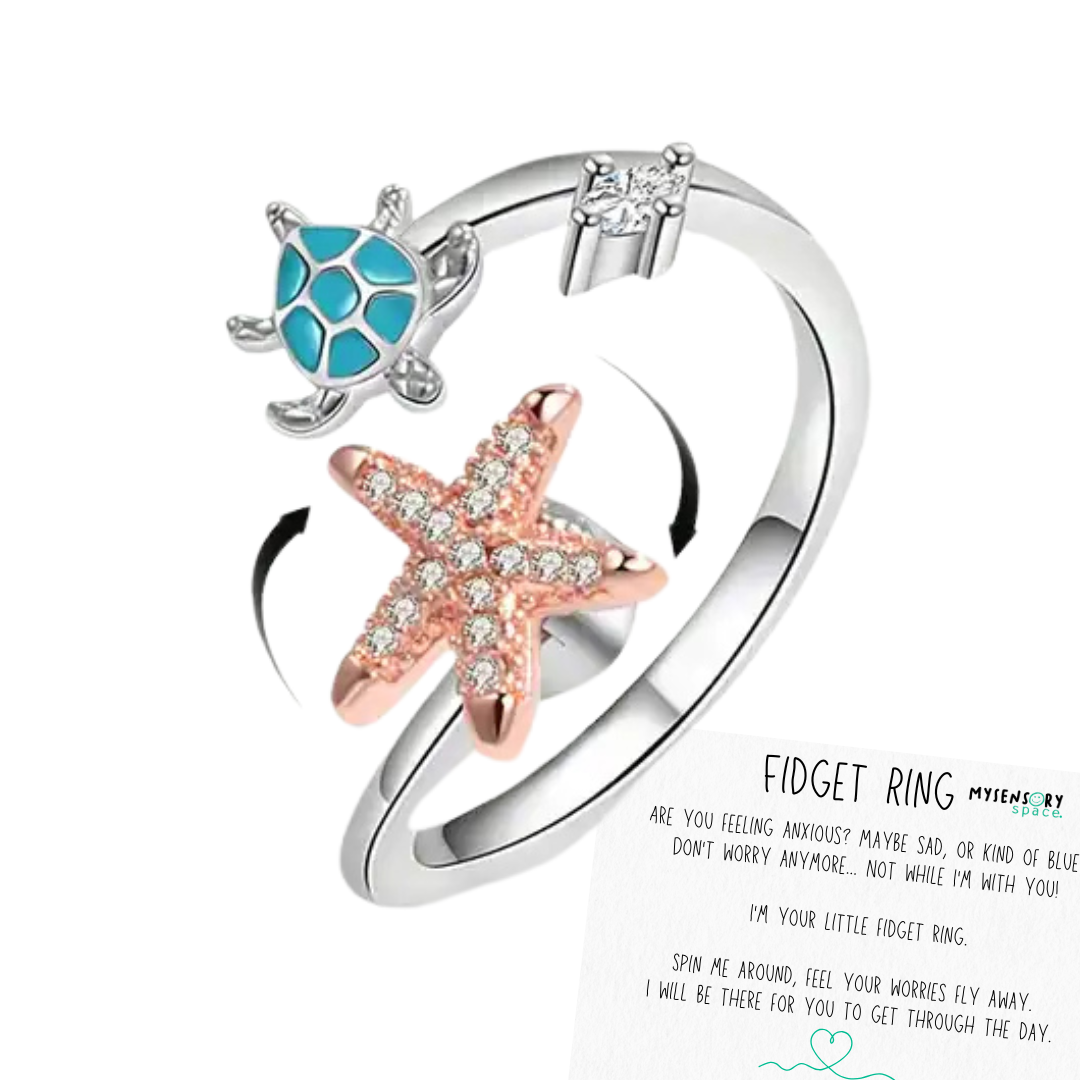 Turtle Silver Fidget Ring