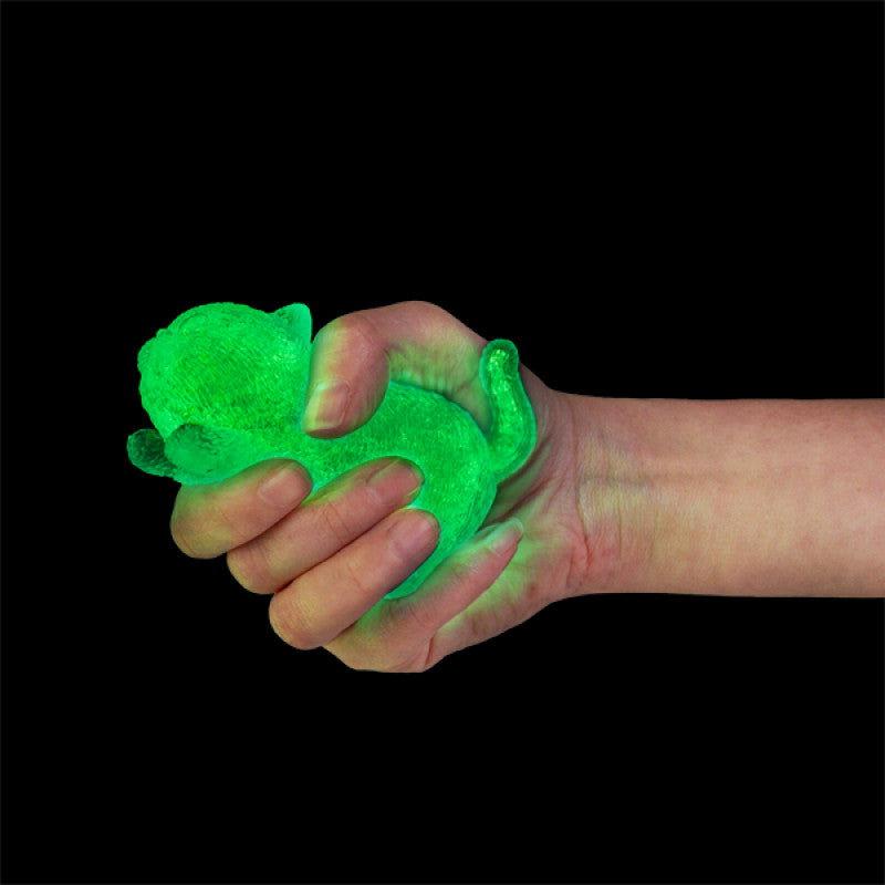 Jelly Glitter Glow Cat Squishy