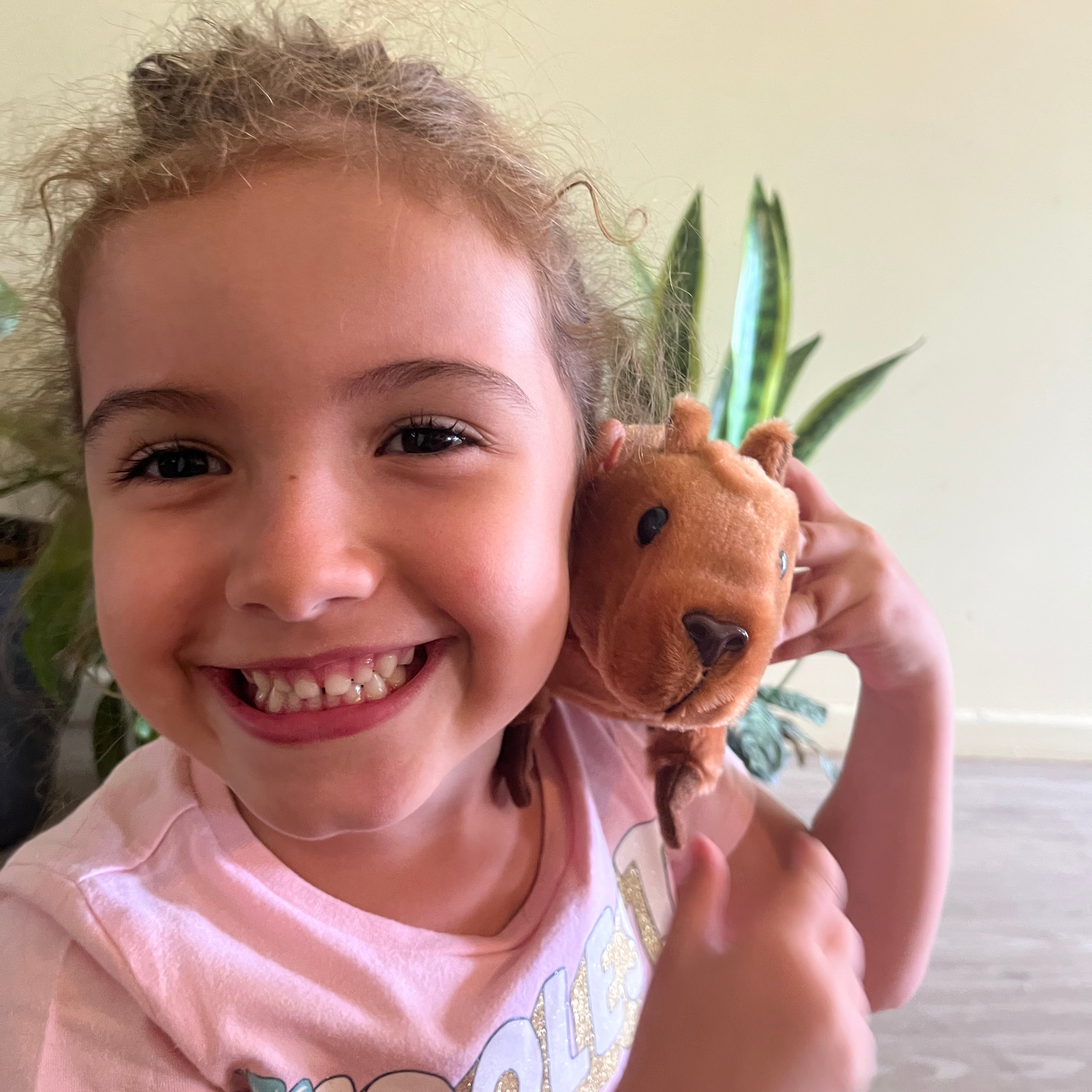 Capybara Animated Pet Sensory Toy