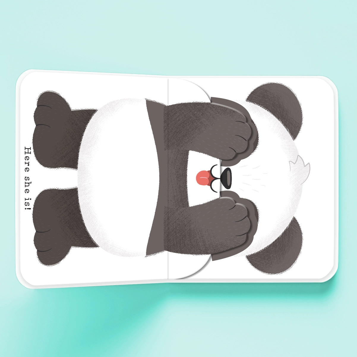 Peekaboo with Coco the Cat – Interactive Board Book